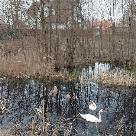 двухместный номер 1, с отдельной ванной коттеджный городок чапаевка, голосеевкий район * Київ